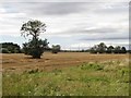 NZ1877 : Harvested arable field beside the River Blyth by Graham Robson