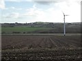 Wind turbine in a field