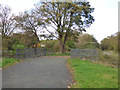 Footbridge over path to Crescent Road