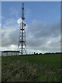 Transmitter mast near Four Lanes