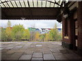 Tyseley Station and View