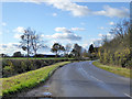 Road nearing Bushmead Farm