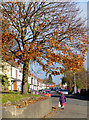 Fraser Street in Bilston, Wolverhampton