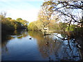 Rush Pond, Chislehurst Common