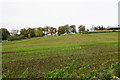 Planted field below Fosse Way