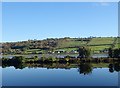 The Middle Bank reflected in the waters of the Newry Canal