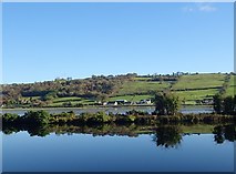 J1021 : The Middle Bank reflected in the waters of the Newry Canal by Eric Jones