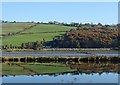 The slopes on the north side of the Newry River reflected in the still waters of the Newry Ship Canal