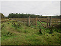 Deer fence around new plantation