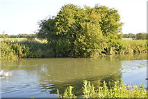SP4508 : River Thames by N Chadwick