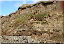 J2105 : Facies in the cliff face near Cooley Point by Eric Jones