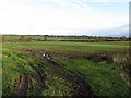 Farmland near End On