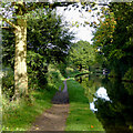 Canal south of Great Haywood in Staffordshire