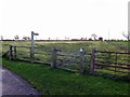 NZ1168 : Bridleway near Heddon Steads by Andrew Curtis
