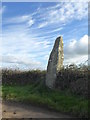 The Longstone standing stone on Trannack Hill