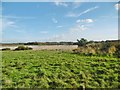 East Holme, clay pit