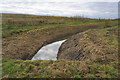 Carr Dike near Lennerton Farm