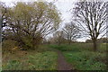 Molesey Heath Nature Reserve