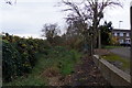 Footpath beside Dead River, Molesey