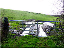 H5270 : Muddy entrance to field, Bancran by Kenneth  Allen