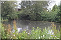 Pond, Horsemere Green