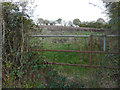 Farmland, Criol Lane