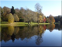 ST7734 : Trees reflected in Garden Lake by Philip Halling