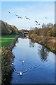 Sankey Canal, Sankey Valley Park