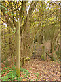 Footpath to Catsclough