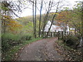 Bridge over Wamphray Water