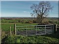 Looking east from Woodhead Farm