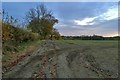 Farm track going towards The Spinney