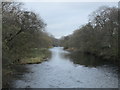 The River Annan