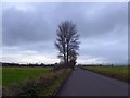 Back River Drove crossing Glastonbury Heath