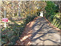 Sat-nav warning sign on Ellen Royd Lane, Luddendenfoot