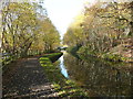 The start of a narrow section of the canal, Luddendenfoot