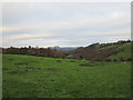 View above Hawick