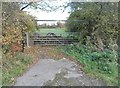 Field entrance on Old Street Hill, Hatfield Broad Oak