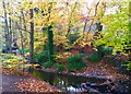 Late Autumn colour beside Porter Brook