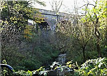SK5360 : Drury's Dam Viaduct, Mansfield, Notts. by David Hallam-Jones