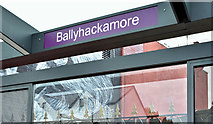 J3773 : EWAY halt, Ballyhackamore, Belfast - November 2017(2) by Albert Bridge