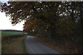 A country lane