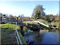 Toppesfield Mill sluice and weir