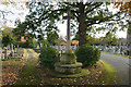 War memorial in Hale Cemetery