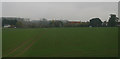 Main Road, Benhall Green, from the railway