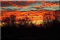 Red sky over Carterton (2), Oxon