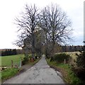 Tree-lined avenue to Keeper