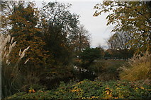TQ3789 : View of the moat circling Lloyd Park from the footbridge leading to the William Morris Gallery #3 by Robert Lamb