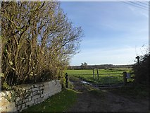ST5532 : Footpath into field at Tootle Bridge by David Smith