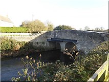 ST5532 : Tootle Bridge over River Brue by David Smith